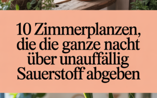 10 Zimmerpflanzen, die die ganze Nacht über unauffällig Sauerstoff abgeben
