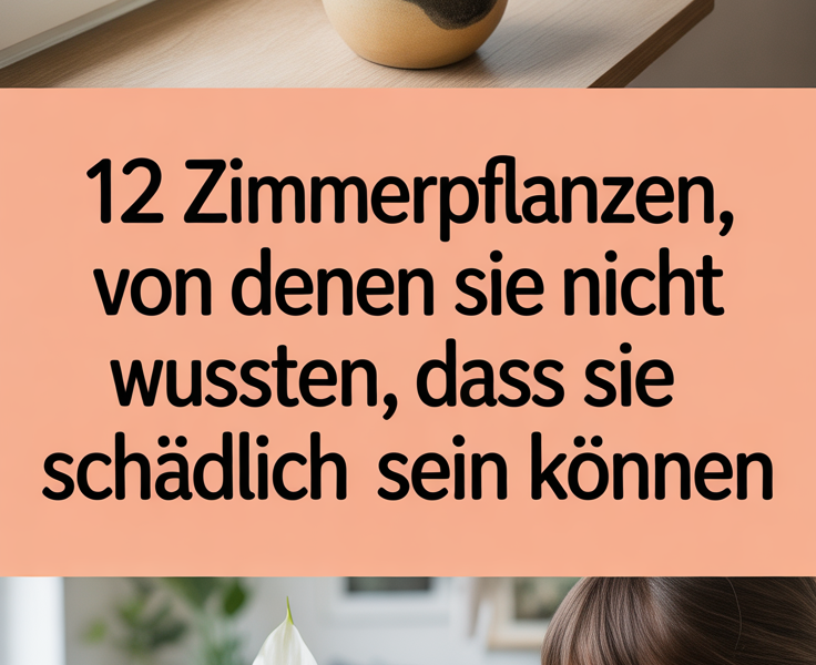 12 Zimmerpflanzen, von denen Sie nicht wussten, dass sie schädlich sein können