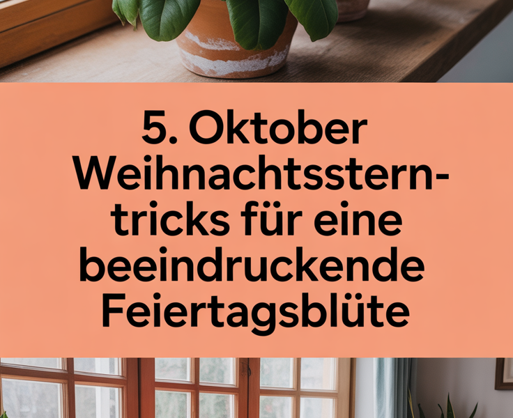5. Oktober Weihnachtsstern-Tricks für eine beeindruckende Feiertagsblüte