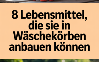 8 Lebensmittel, die Sie in Wäschekörben anbauen können