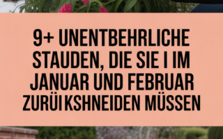 9+ Unentbehrliche Stauden, die Sie im Januar und Februar zurückschneiden müssen