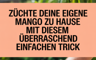 Züchte deine eigene Mango zu Hause mit diesem überraschend einfachen Trick
