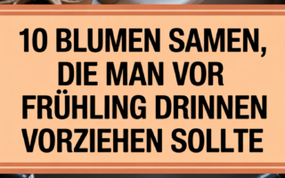 10 Blumen Samen, die man vor dem Frühling drinnen vorziehen sollte