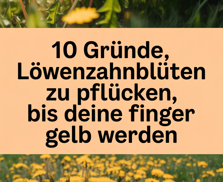 10 Gründe, Löwenzahnblüten zu pflücken, bis deine Finger gelb werden