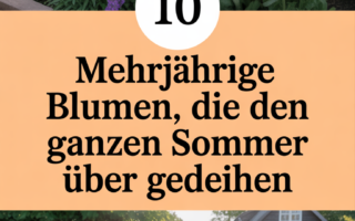 10 Mehrjährige Blumen, die den ganzen Sommer über gedeihen