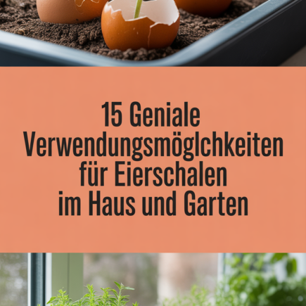 15 geniale Verwendungsmöglichkeiten für Eierschalen im Haus und Garten