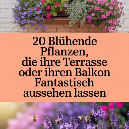 20 Blühende Pflanzen, die Ihre Terrasse oder Ihren Balkon fantastisch aussehen lassen