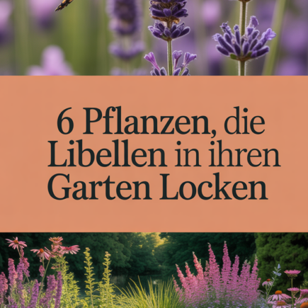 6 Pflanzen, die Libellen in Ihren Garten locken