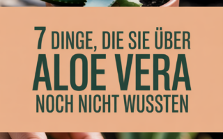 7 Dinge, die Sie über Aloe Vera noch nicht wussten