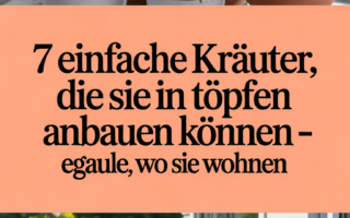 7 Einfache Kräuter, die Sie in Töpfen anbauen können – egal, wo Sie wohnen