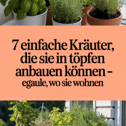 7 Einfache Kräuter, die Sie in Töpfen anbauen können – egal, wo Sie wohnen