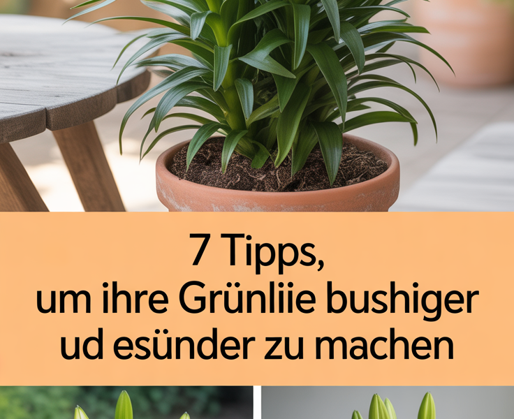 7 Tipps, um Ihre Grünlilie buschiger und gesünder zu machen