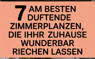 7 am besten duftende Zimmerpflanzen, die Ihr Zuhause wunderbar riechen lassen
