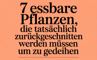 7 essbare Pflanzen, die tatsächlich zurückgeschnitten werden müssen, um zu gedeihen