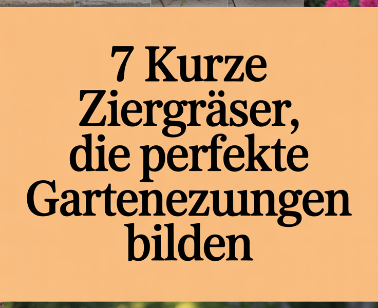 7 kurze Ziergräser, die perfekte Gartenbegrenzungen bilden