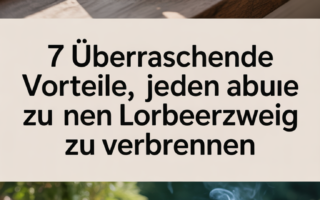 7 überraschende Vorteile, jeden Abend zu Hause einen Lorbeerzweig zu verbrennen