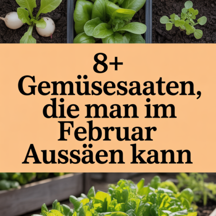 8+ Gemüsesaaten, die man im Februar aussäen kann