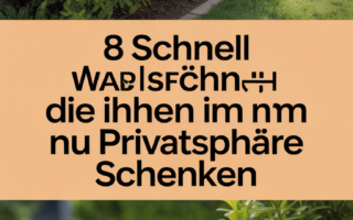 8 schnell wachsende Sträucher, die Ihnen im Nu Privatsphäre schenken