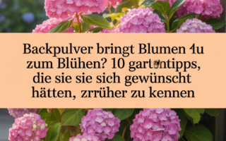 Backpulver bringt Blumen zum Blühen? 10 clevere Gartentipps, die Sie sich gewünscht hätten, früher zu kennen