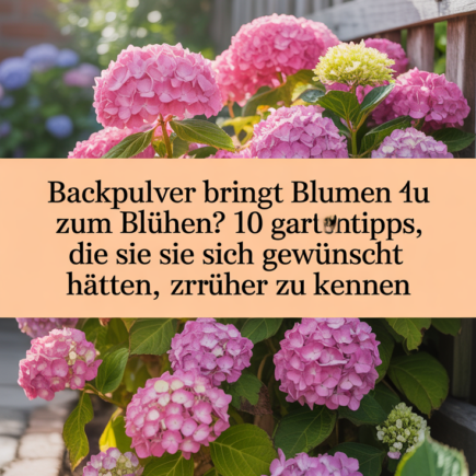 Backpulver bringt Blumen zum Blühen? 10 clevere Gartentipps, die Sie sich gewünscht hätten, früher zu kennen