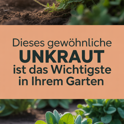 Dieses gewöhnliche Unkraut ist das Wichtigste in Ihrem Garten