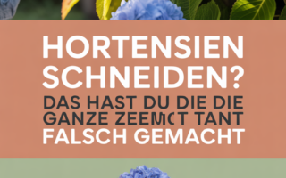 Hortensien schneiden? Das hast du die ganze Zeit falsch gemacht