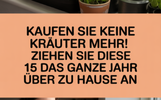 Kaufen Sie keine Kräuter mehr! Ziehen Sie diese 15 das ganze Jahr über zu Hause an