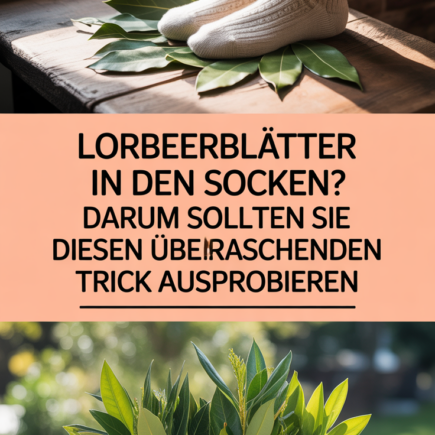 Lorbeerblätter in den Socken? Darum sollten Sie diesen überraschenden Trick ausprobieren
