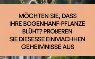 Möchten Sie, dass Ihre Bogenhanf-Pflanze blüht? Probieren Sie diese einfachen Geheimnisse aus