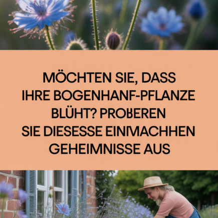 Möchten Sie, dass Ihre Bogenhanf-Pflanze blüht? Probieren Sie diese einfachen Geheimnisse aus