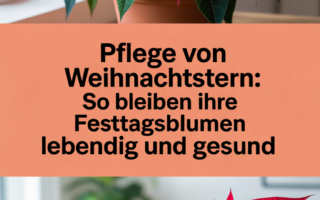 Pflege von Weihnachtsstern: So bleiben Ihre Festtagsblumen lebendig und gesund