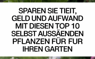 Sparen Sie Zeit, Geld und Aufwand mit diesen Top 10 selbst aussäenden Pflanzen für Ihren Garten