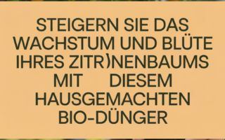 Steigern Sie das Wachstum und die Blüte Ihres Zitronenbaums mit diesem hausgemachten Bio-Dünger