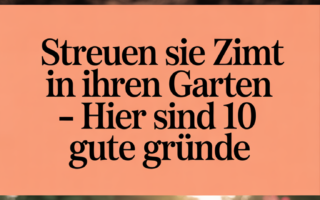 Streuen Sie Zimt in Ihren Garten – Hier sind 10 gute Gründe