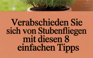Verabschieden Sie sich von Stubenfliegen mit diesen 8 einfachen Tipps