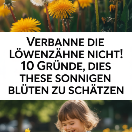 Verbanne die Löwenzähne nicht! 10 Gründe, diese sonnigen Blüten zu schätzen