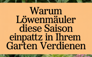 Warum Löwenmäuler diese Saison einen Platz in Ihrem Garten verdienen