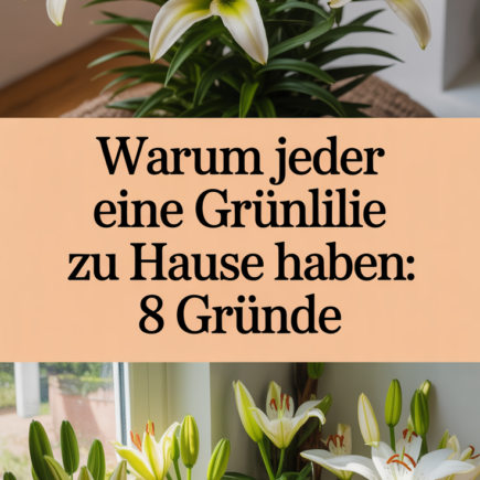Warum jeder eine Grünlilie zu Hause haben sollte: 8 Gründe
