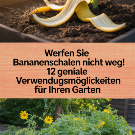 Werfen Sie Bananenschalen nicht weg! 12 geniale Verwendungsmöglichkeiten für Ihren Garten