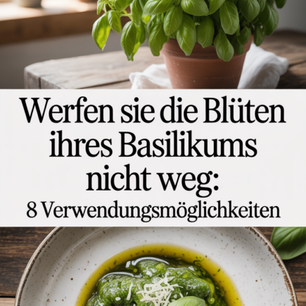 Werfen Sie die Blüten Ihres Basilikums nicht weg: 8 Verwendungsmöglichkeiten