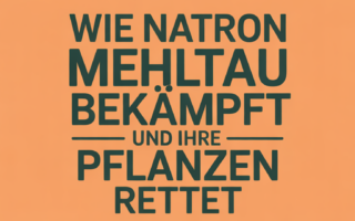 Wie Natron Mehltau bekämpft – und Ihre Pflanzen rettet