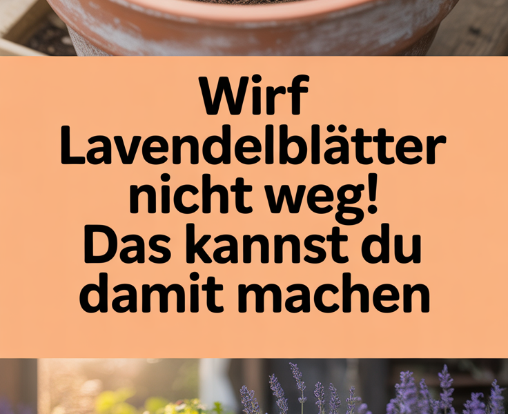 Wirf Lavendelblätter nicht weg! Das kannst du damit machen