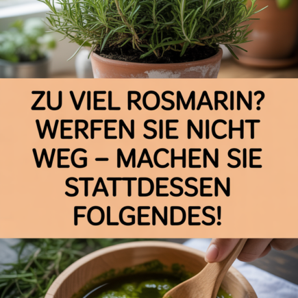 Zu viel Rosmarin? Werfen Sie ihn nicht weg – machen Sie stattdessen Folgendes!